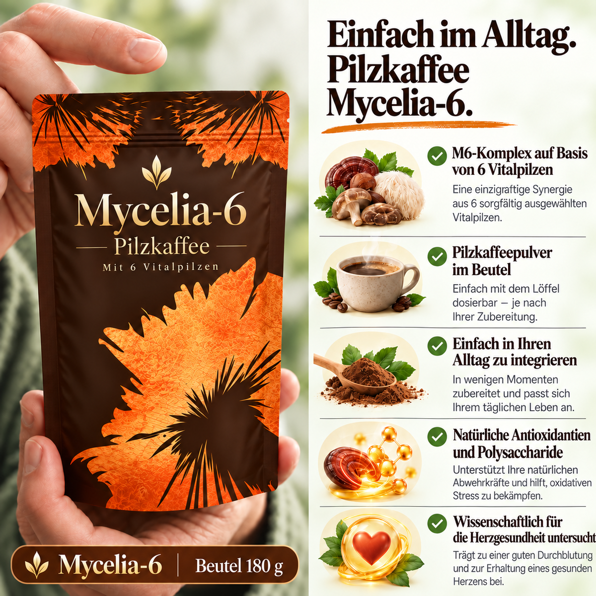 Mycélia 6