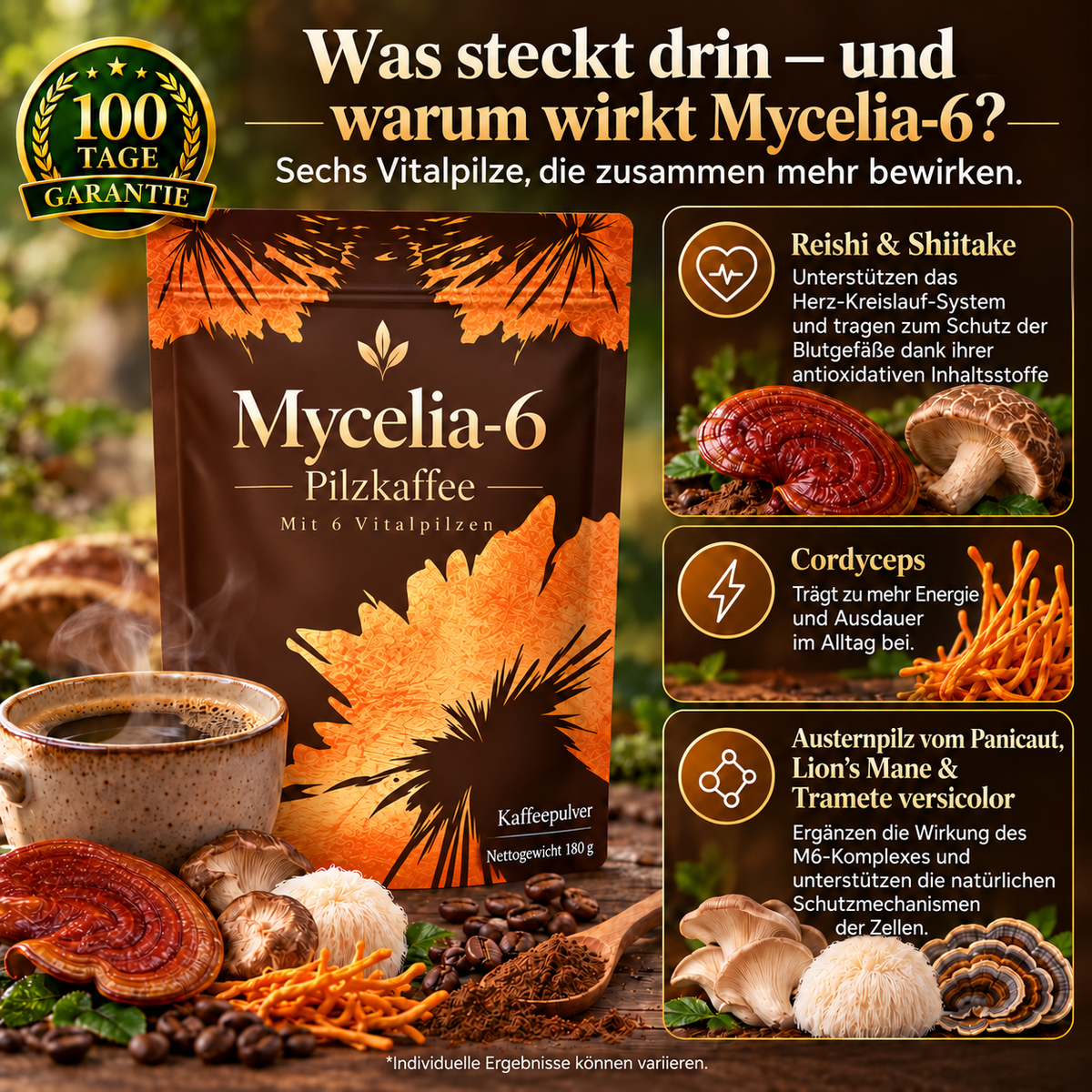 Mycélia 6